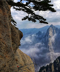 无限风光在险峰