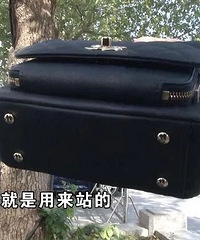 花2万5买的香奈儿站不住