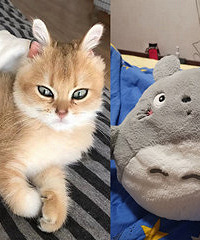 ÎÒ¼ÒµÄСÍü¸Å¯ÊÖ±¦£¬ÄãÓÐͬ¿îÂ