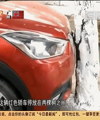 ��ͷ���֡���ͣ�������������4.28�ף�����4.22�ס�