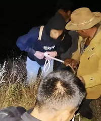 ��ѧ������ԭʼɭ�֣�����Ҫ��ֱ�������ȣ������ﶼ��ô�ݣ�