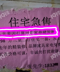 有人宁愿卖掉杭州房产也要回老家养猪!