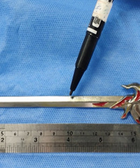 Σ�գ�Сѧ���֡���߽�����ˣ�̴����գ����붯����3���ס���