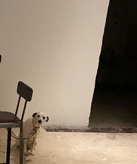 就这么看着你看着你