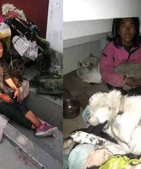 Ů��ѧ������޷������Ϲ��Թ��⣬��ҳ���ǣ��8�������˽�ͷ