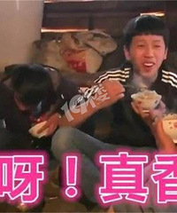 辞职后,你会吃回头草吗?