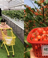 2020全年水果采摘亲子护照来啦!