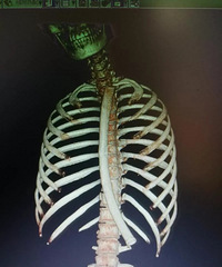 22������Գƺ��̲��������ܣ�ҽ��һ������30���׳���