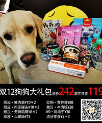 宠物用品双12活动