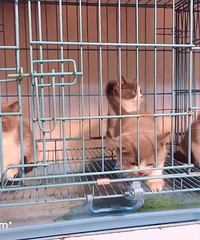 2���°������� ������һ�߽� �ؼ�1888