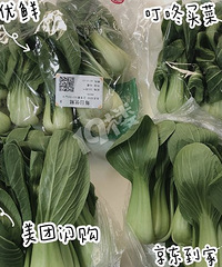 京东买菜贵出天际,哪个买菜APP最便宜?我们评测了4家