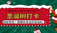 寻找身边的圣诞树!
