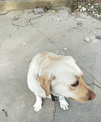 �͹���������