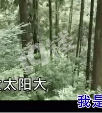 魂牵梦萦是故乡!你最深的故乡记忆是什么?