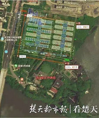 武汉将参照“小汤山”建立急救医院,6天建成!上百台挖掘机同时