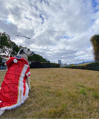 ���������ã��������Ȧ