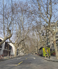 今年的路,格外宽