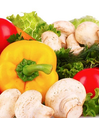 Ӧ㽭ũóгɲùرͣҵкӪҵʱ