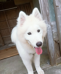 ��Ħ�Һ��˼�