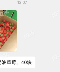 原来草莓40一斤,现在40一箱!