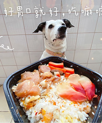 ���䷹�Գ�