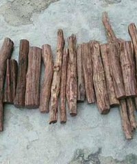 �չ��Ϸ��Ӳ�������µ���ľ��