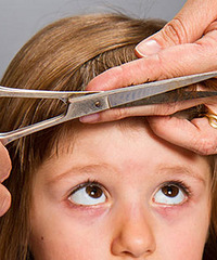 �����������ģ�