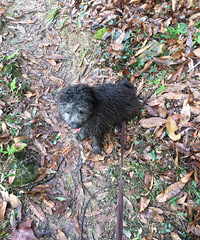 һ���̩�ϣ����ж�������û�˴�����13586288928