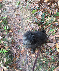 һ���̩�ϣ����ж�������û�˴�����13586288928