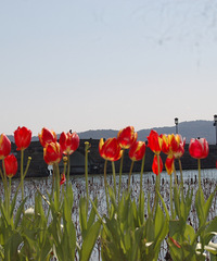 �����������ͣ�������ɣ�����8ʱ��ʵ���շѹ�����