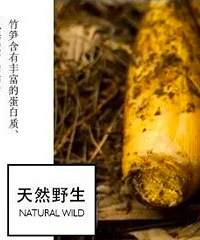 新鲜现挖德清春笋68元/5斤,顺丰包邮