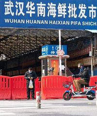在华南海鲜市场楼上做生意的温州人:这些举动救了全家人的命