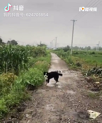 1�� ���� ĸ