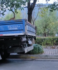 ��Ȯ����