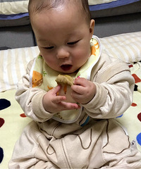 咬不動也不肯放手