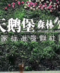 天鹅堡森林公园