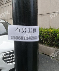 杭州市區到處粘貼租房信息,疫情下會有人咨詢嗎?
