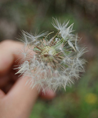 春天,就是这感觉