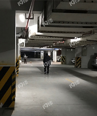 【19樓幫幫團】車庫遛狗不拉繩!我差點被咬了