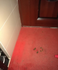 �������ġ�������ھ�