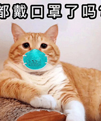 驚喜?他們發現倉庫里囤了5500萬個N95口罩!結果悲催了…
