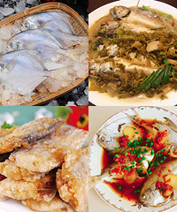 鮮到詞窮,小黃魚鯧魚帶魚舟山順豐直發