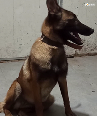 ������ĸ��Ȯ