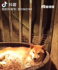 С��Ȯ������