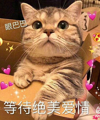 女征男