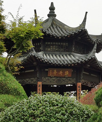 逛完太子湾逛花港,省时省力