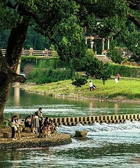 在许多旅游大咖的眼里,它一直被视为浙江“净土”般的存在