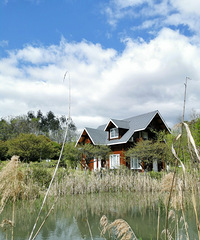 ������  ���������ѵõĺ�����