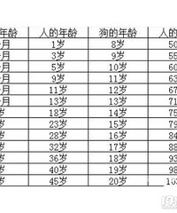 狗狗年纪换算表,你家狗子相当于人几岁了?