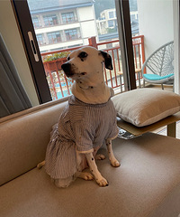 ����ϲ����ɰ�������